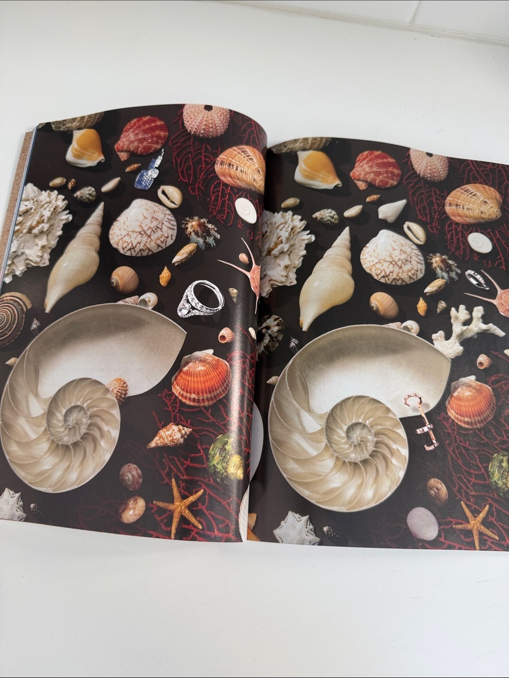 Hermes Le Monde De Hermes Spring Summer 2026Catalogue Magazine Look Book - Picture 9 of 9